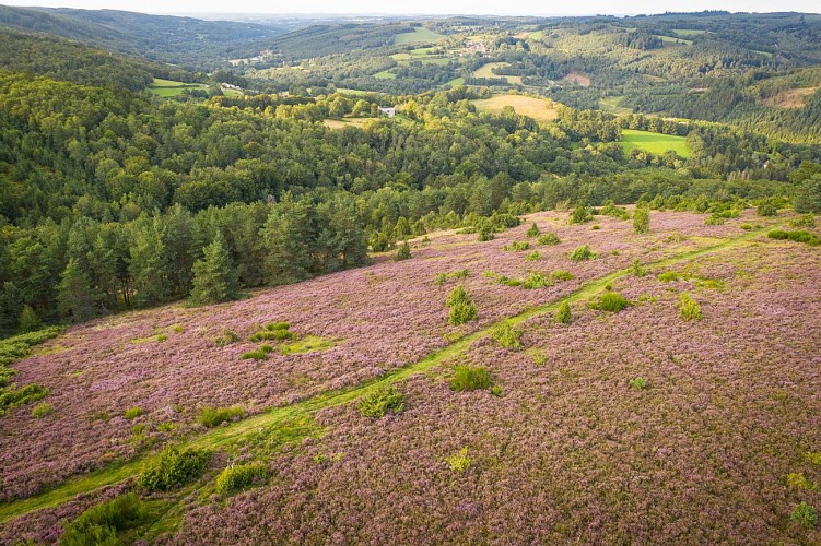 Lande du Puy Raynaud