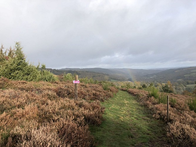 Lande du Puy Raynaud - Clairavaux