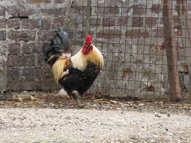 Le Jardin du Colombier
