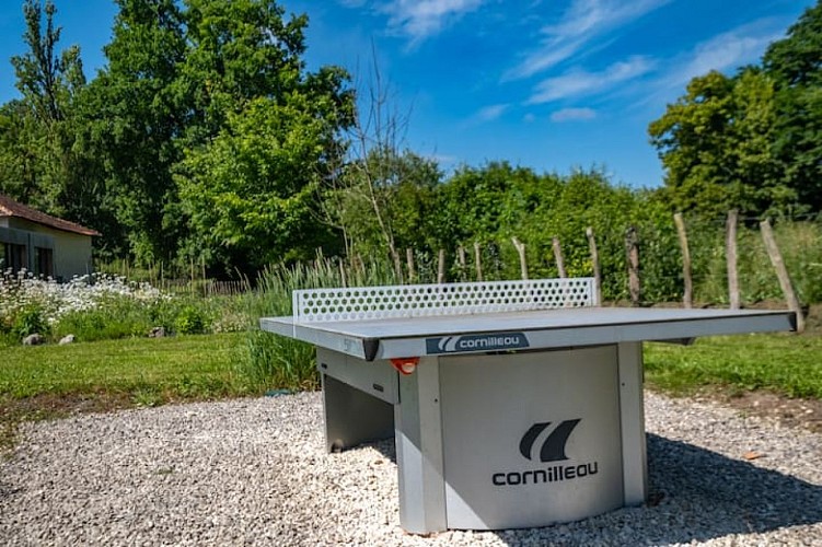 De Scheemaeker (Chassaignes) - Le Gardien (16) 2