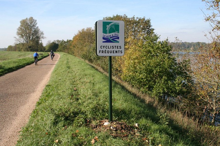 La Loire à vélo à Mareau aux Prés