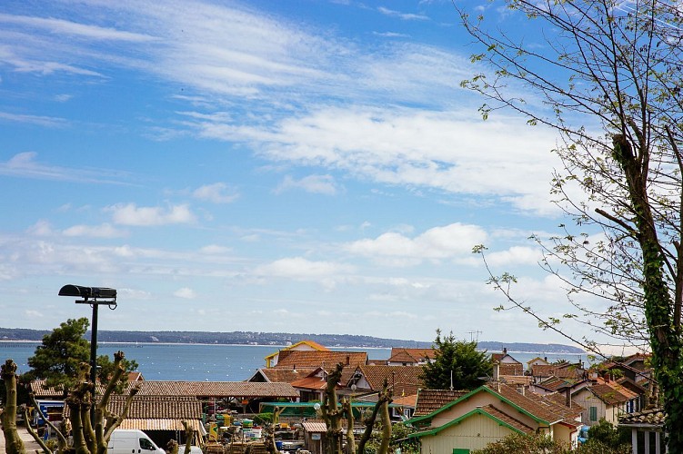 Dune des Journalistes