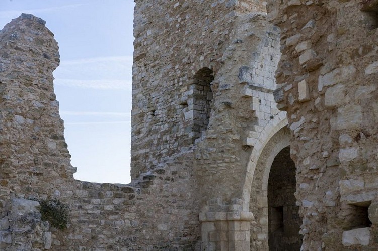 Les ruines de Vière