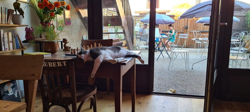 L'Ailé Fan Rose cour