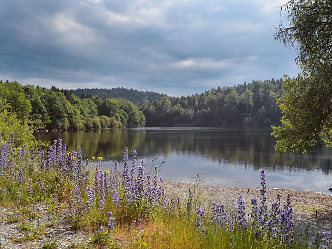 Le lac du Taurons