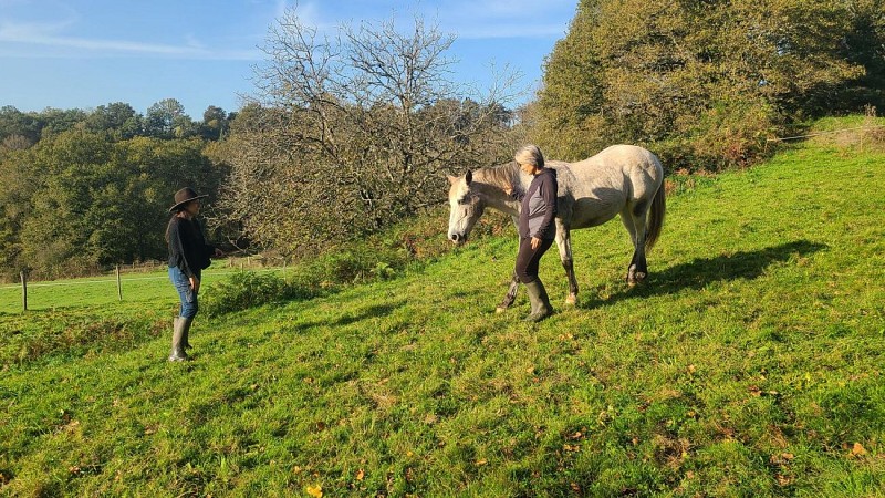 MesPetitssabots (11)