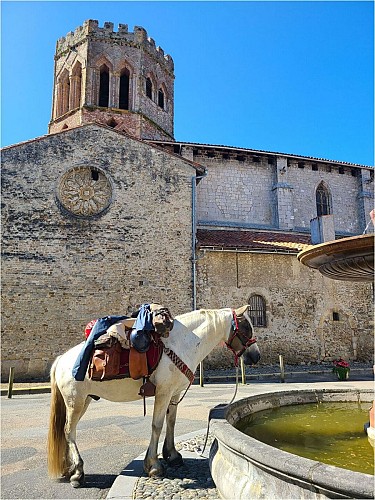 MesPetitssabots (1) 2