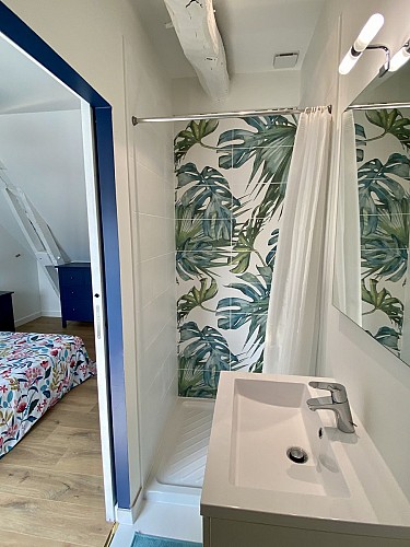 Salle de bain chambre bleue