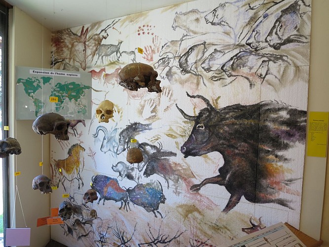 Terrae Genesis - centre de géologie et minéralogie