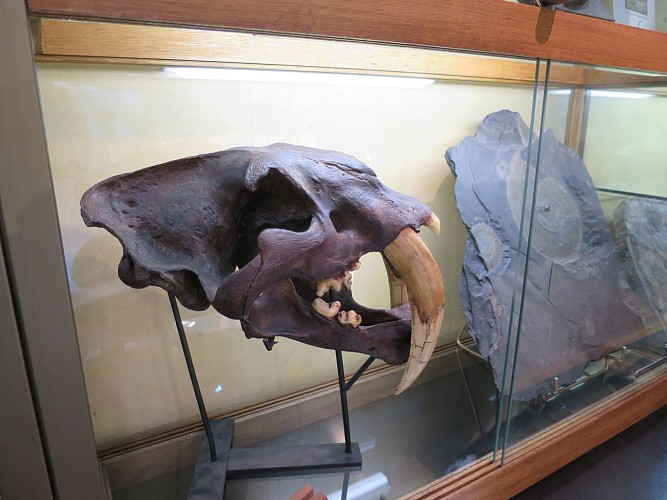 Terrae Genesis - centre de géologie et minéralogie