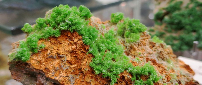 Terrae Genesis - centrum voor geologie en mineralogie