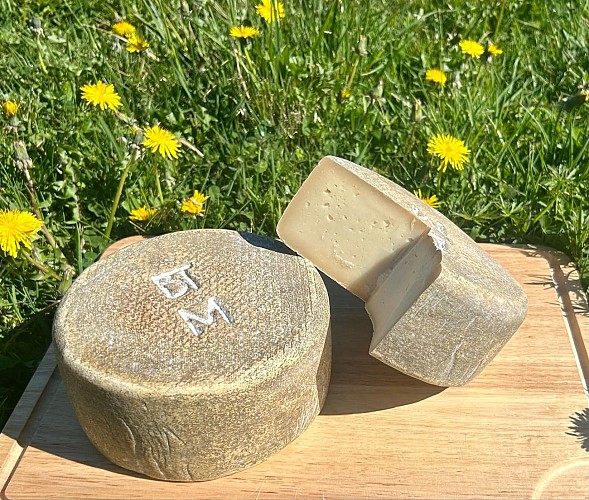 Fromage Ferme Bidalot