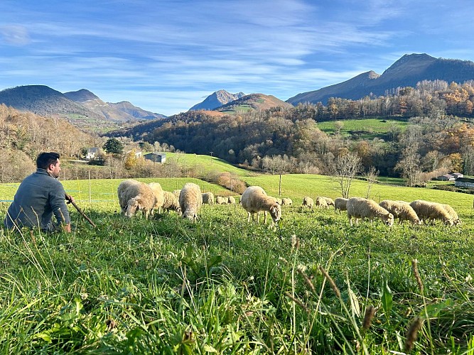 La Ferme Bidalot à Issor en Pyrénées béarnaises