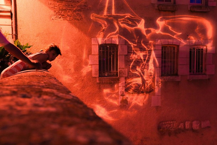 Dragons- parcours de lumière[A.Veillith-Territoires Vendômois]