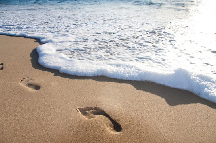 CHACHA BISTROT & CHACHA À EMPORTER - BAR/BRASSERIE/STREET FOOD