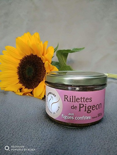 Vente à la ferme, Pigeons Lay Amyrelles