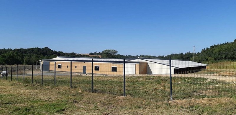 Vente à la ferme, Pigeons Lay Amyrelles