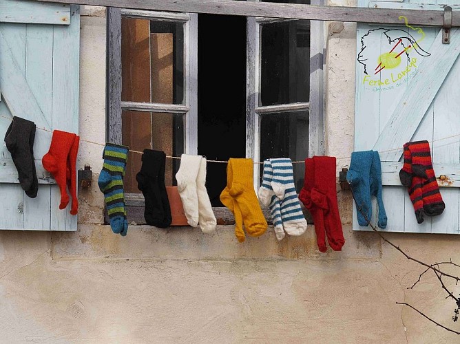 Ferme Laneya - Argelos - Crédit photo ferme Laneya - Tourisme Nord Béarn Mohair chaussettes-mohair