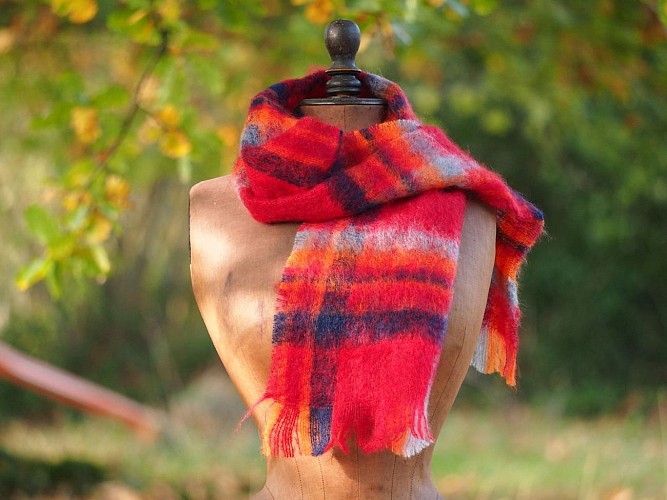 Ferme Laneya mohair - Argelos - cph Emma