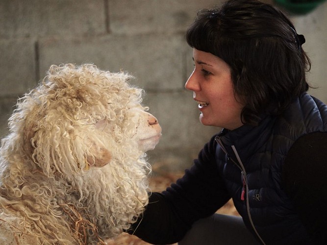 Ferme Laneya - Argelos - cph Emma