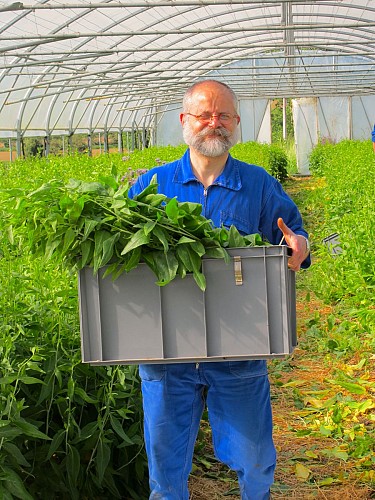 6384c6c9f1eeb14f5b5b1f5e_Abbaye-Notre-Dame-Maylis-Landes-bénédictins-olivétains-retraite-spirituelle-potager-serre-frère