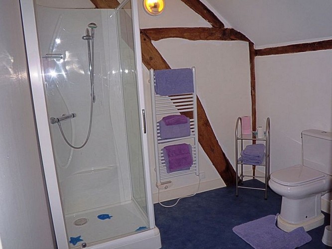 L-Orangerie-salle-d-eau-chambre-la-foret-auvray