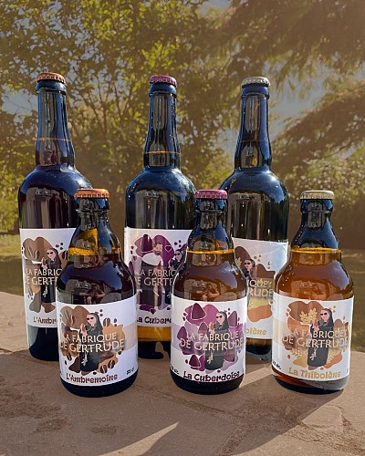 533967565_775322305251447_2656372034685947651_n