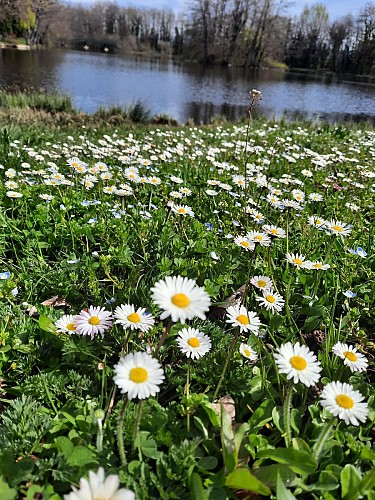 Cessy Pond