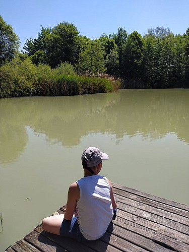 Etang de Colovrex, ENS de l'Ain