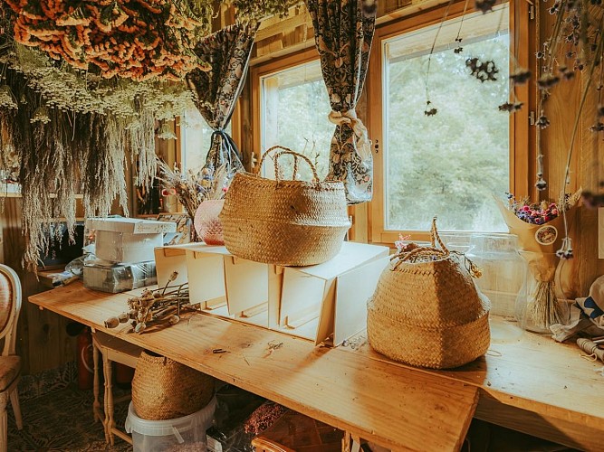 Les Fleurs de la Clarté - Saint-Jouin - Fleurs séchées