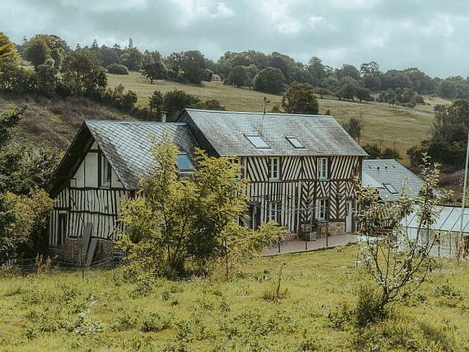 Les Fleurs de la Clarté - Saint-Jouin