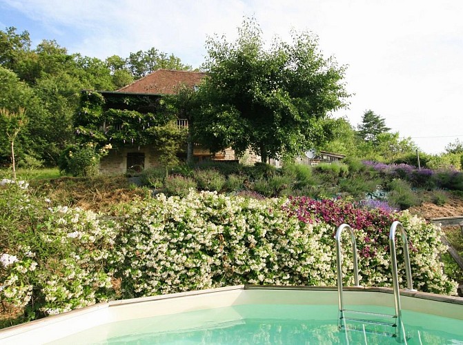 The House on the Hill_6