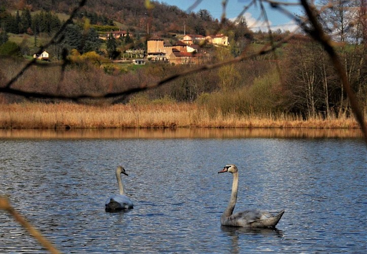 Espace Naturel Sensible de la Tourbière de Charamel