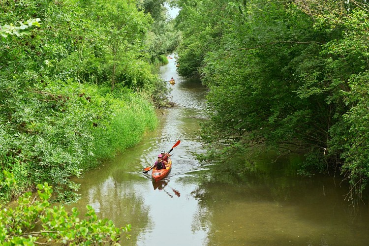 Descente de la Bourbre en canoë kayak