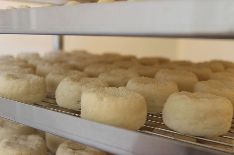 Les Merveilles de Marine