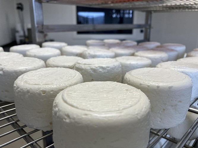 Les Merveilles de Marine