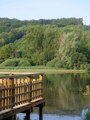 Espace Naturel Sensible de l'étang de Chalignieu