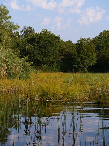 Espace Naturel Sensible de l'étang de Chalignieu