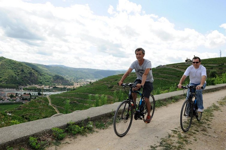 Location de vélos - Intersport Tournon sur Rhône