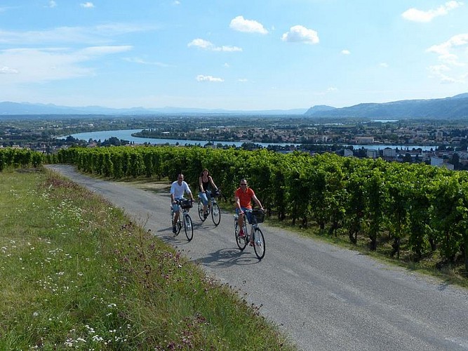 Location de vélos - Intersport Tournon sur Rhône