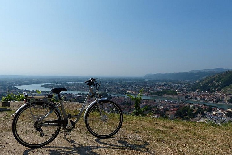 Location de vélos - Intersport Tournon sur Rhône