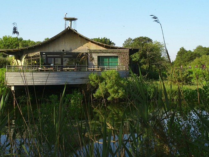 Hébergement de groupes MNBA