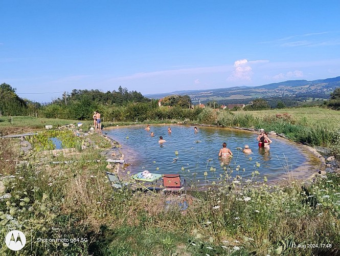 Piscine naturelle