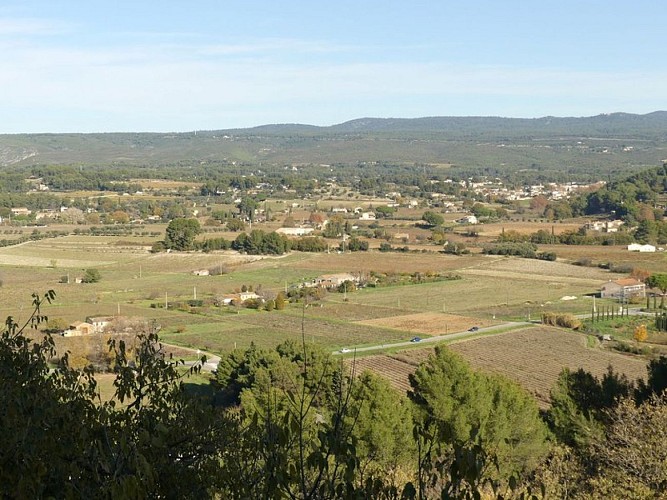La plaine agricole de La Cadière