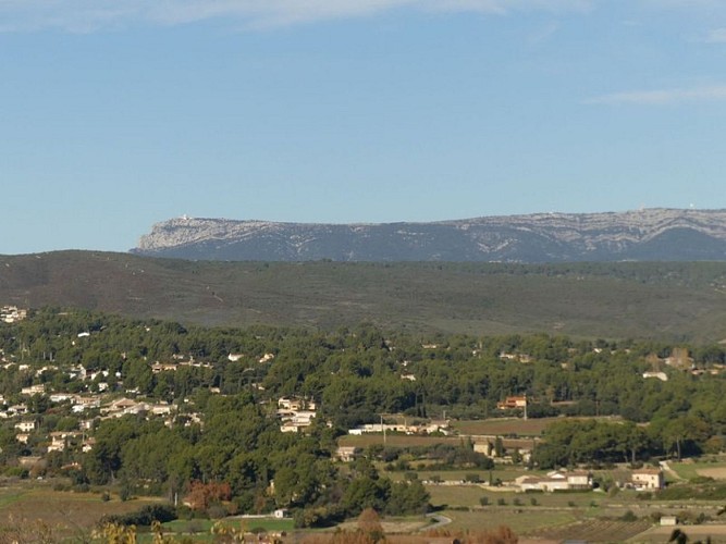 Vue sur la Sainte-Baume et ses ribes