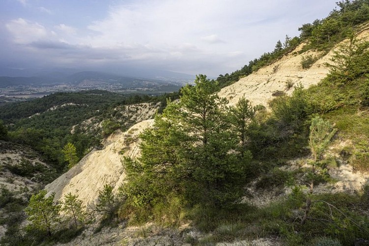 Argiles blanches sableuses