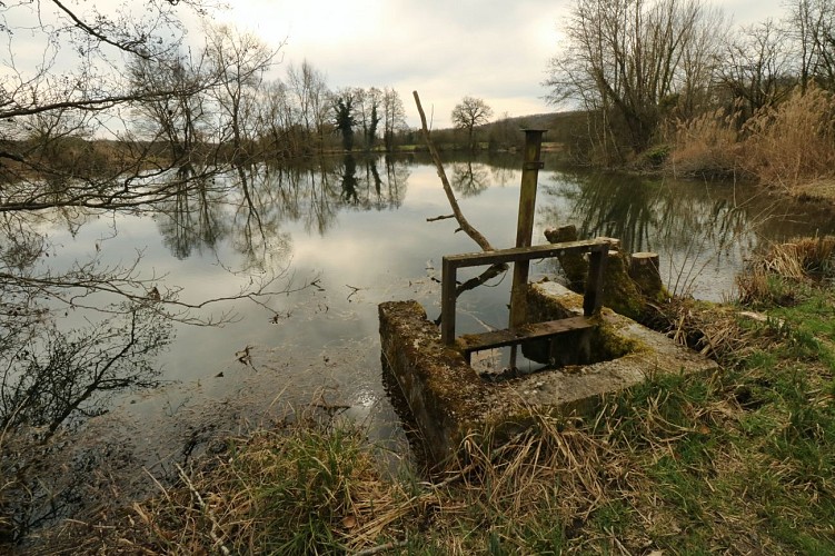 Espace Naturel Sensible de Bouvesse-Quirieu – Site des étangs Cotte
