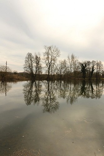Espace Naturel Sensible de Bouvesse-Quirieu – Site des étangs Cotte