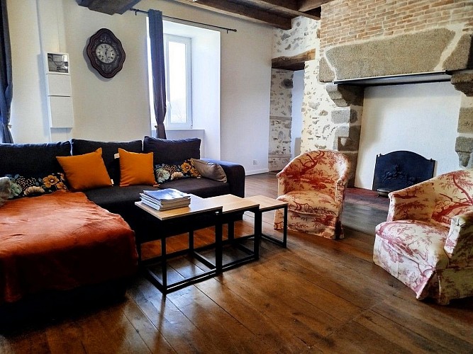 saint-andre-sur-sevre-gite-la-roche-du-halais-salon