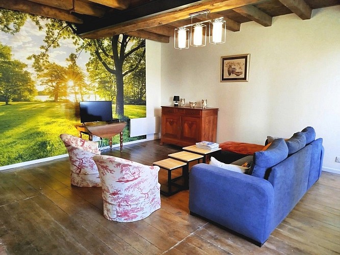 saint-andre-sur-sevre-gite-la-roche-du-halais-salon